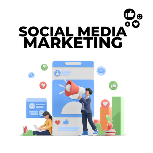 Social Media Marketing Basic Plan